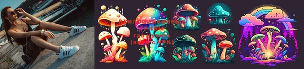 PSILOCYBIN Гусь-Хрустальный