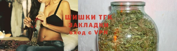дурь Гусев
