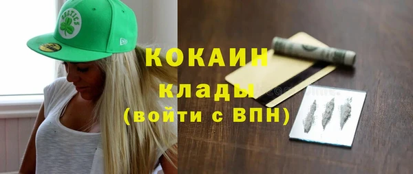 дурь Гусев
