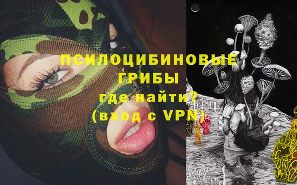 дурь Гусев