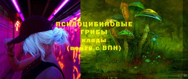 прущая мука Гусиноозёрск