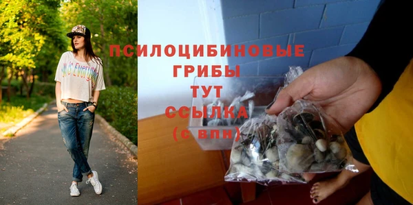 PSILOCYBIN Гусь-Хрустальный