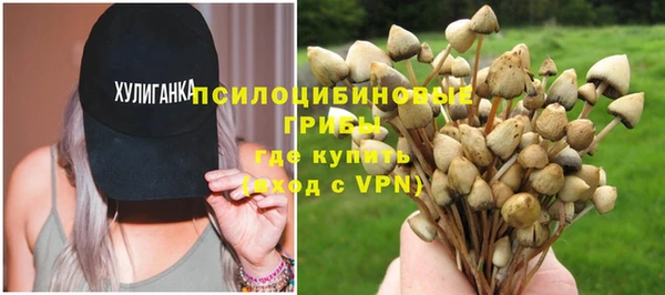 PSILOCYBIN Гусь-Хрустальный