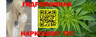 индика Краснодар