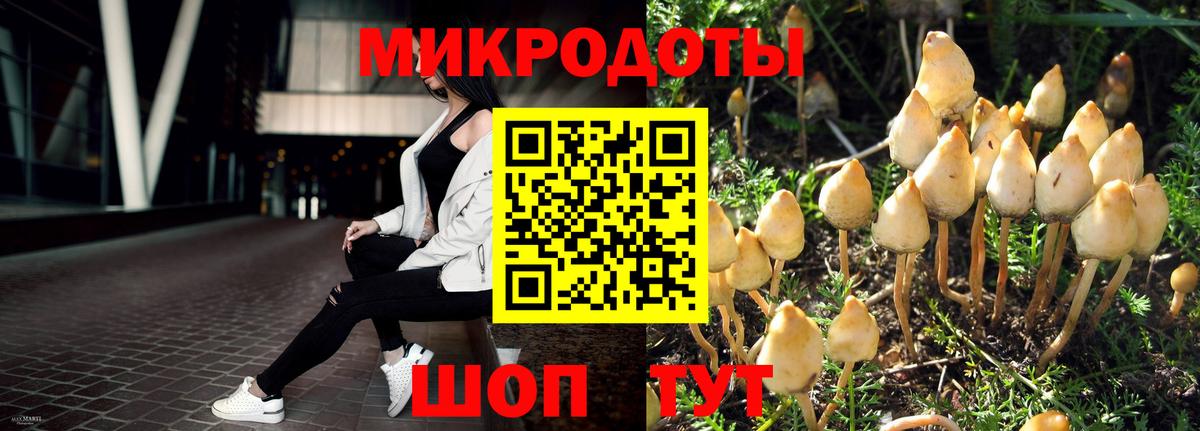 Галлюциногенные грибы Magic Shrooms  Вход с VPN  Железноводск 