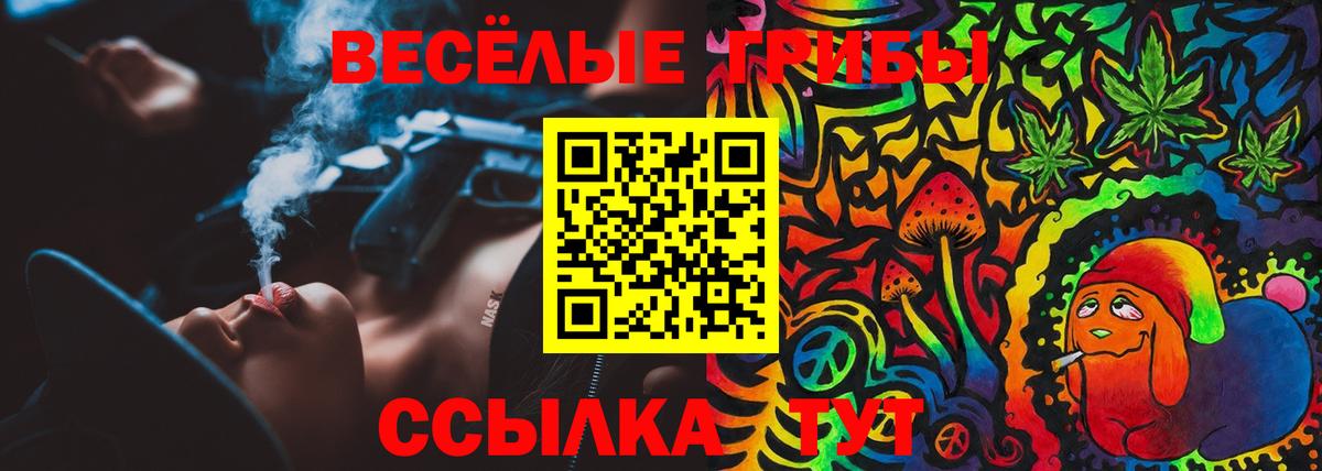 Псилоцибиновые грибы GOLDEN TEACHER Железноводск